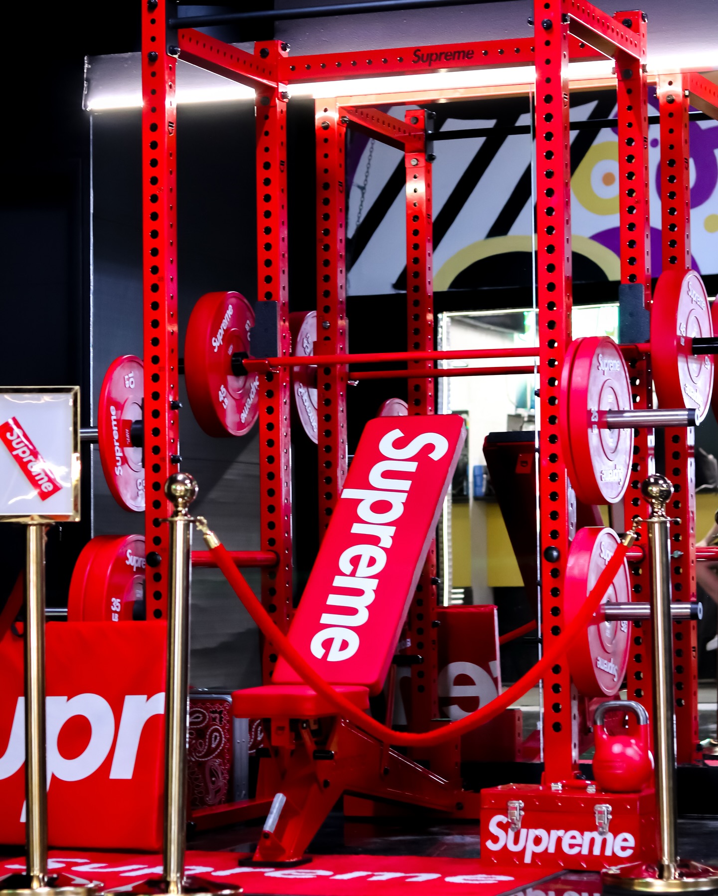 Members training at RULE Fitness